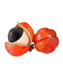 Guarana