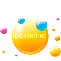 L-karnityna